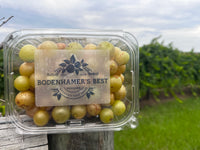 3 quarts of fresh muscadines     (mix or match )