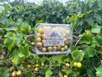 3 quarts of fresh muscadines     (mix or match )
