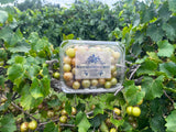 3 quarts of fresh muscadines     (mix or match )