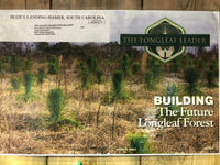 25 boxes of Longleaf pine seedlings (7500 seedlings)